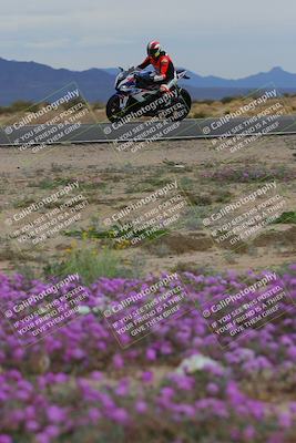 media/Jan-14-2023-SoCal Trackdays (Sat) [[497694156f]]/Turn 14 Exit Bloomig (145pm)/